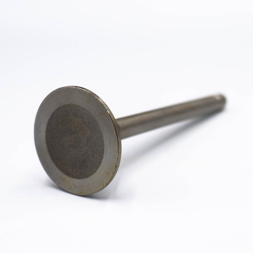 [13715-71010-H] VALVULA ESCAPE 